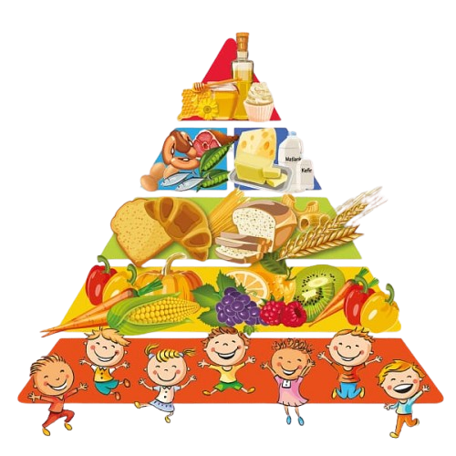 nutrition